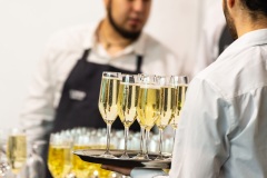 Royal Adelaide Wine Show Photo: John Krüger